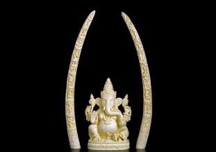 Religious Ivory